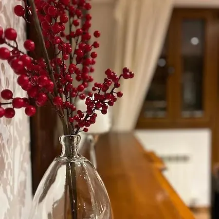 5* House In Baqueira * Arties